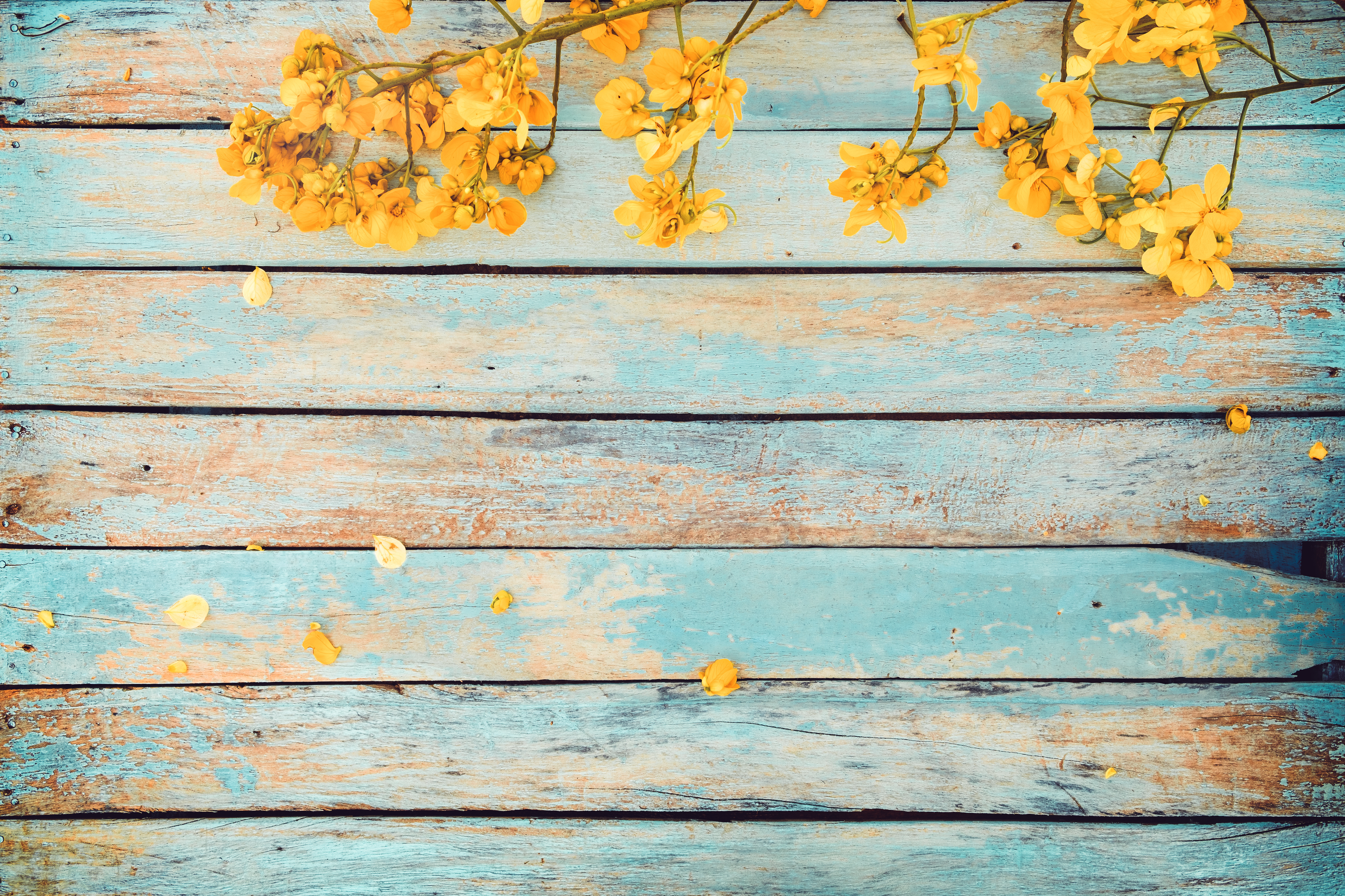 Hãy khám phá bức ảnh Hoa vàng vintage đẹp như mơ, với nền nên trông thật độc đáo và cổ điển. Màu vàng cũng tượng trưng cho sự sáng tạo, tươi trẻ, rực rỡ. Nét hoa tinh tế sẽ khiến bạn thích thú và cảm thấy thư giãn.