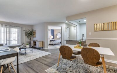 Model Apartment Design Feature: Assembly Manassas